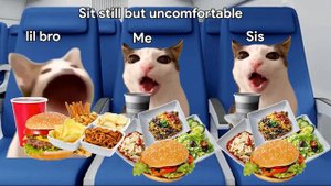 Cat memes travel to Dubai