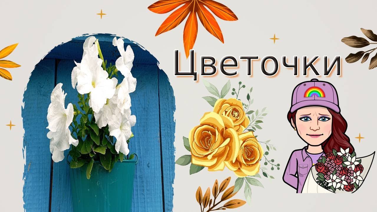 Цветочки