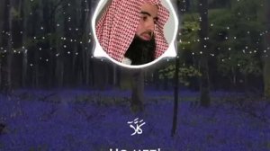 Мухаммад Аль Люхайдан очень красивое чтение Корана(247)