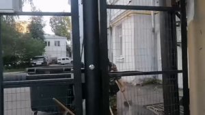 video_2024-09-29_19-19-03 (2)