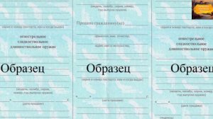 Как получить лицензию на оружие через ГОСУСЛУГИ!!! Как получить разрешение РОХА через ГОСУСЛУГИ!!!
