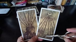 Обзор колоды Таро изменчивой земли.