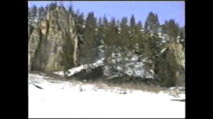 Архив. Л.Е.Лукина о работе ЦВР 1999 год