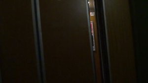 Грузопассажирский, пассажирский лифт (г. Тверь), V=1 м-с, г-п 320, 500 кг (152)