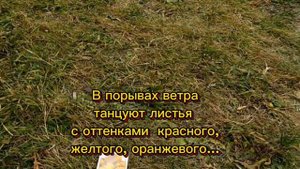 Момиджи - мини обзор карт настольной игры