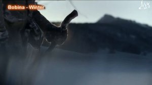 Bobina - Winter [Promo video]