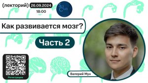 Валерий Мун. Как развивается мозг. Часть 2.