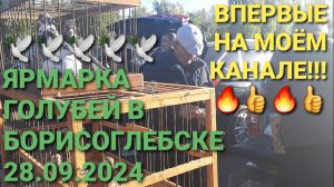 Впервые на моём канале!!! 🔥🔥🔥 Ярмарка голубей в Борисоглебске! 👍👍👍