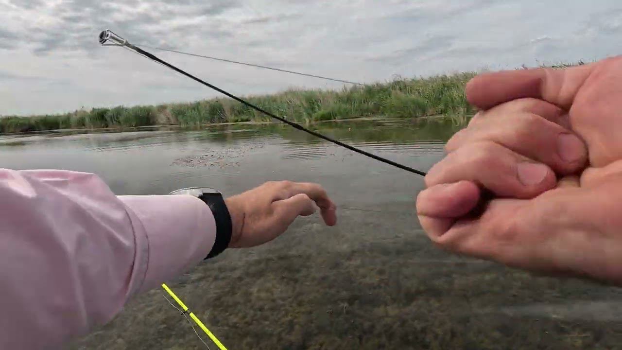 ПОКЛЕВКА ЗМЕЙГОЛОВА И СЛОМАННАЯ КАТУШКА