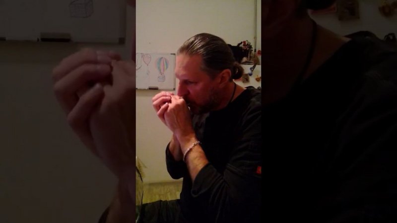 #губная_гармошка #harmonica Following chords on harmonica #stratocastro