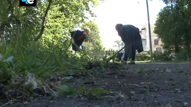 Трудоустройство школьников