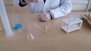 Проект "Денатурация белка", февральская смена сириус.