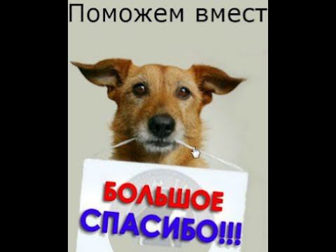 Поможем вместе.
