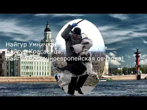 НАЙГУР ПРК КЧК 17.11.2018