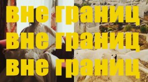 Ромашка production