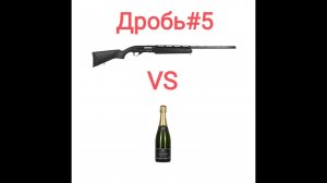 МР155 vs Бутылка шампанского! Дробь #5. Дистанция 35 метров. Чок Прогресс.