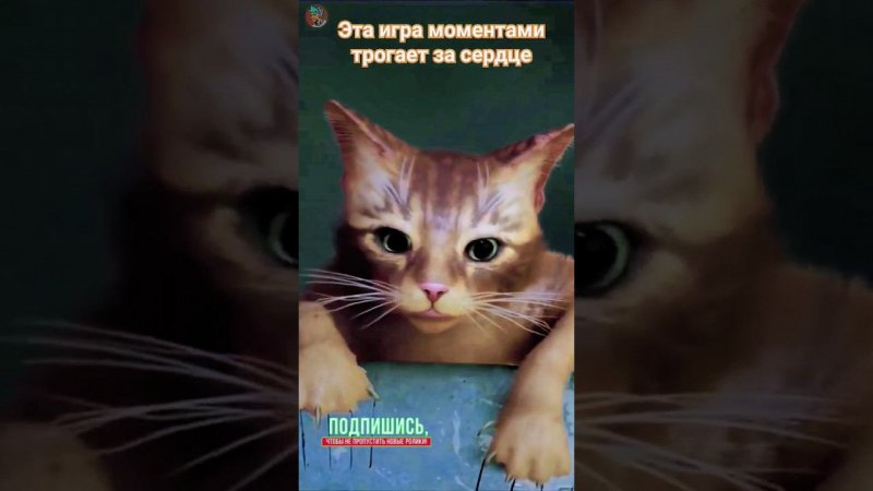 Трогательная игра! #shorts #stray #straycat #straygame #viral #hearttouching #gameshorts #straykids