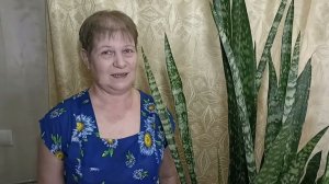 Сансевиерия или Щучий хвост