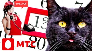 Тайна смс 2706 от МТС, от настоящего МТС 🤪
