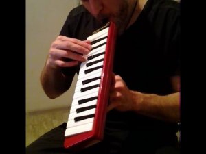 #губная_гармошка #harmonica Melodica. Practicing blues scale #stratocastro