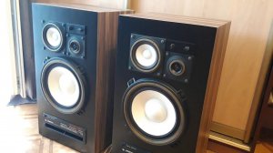 Амфитон 50ас-022