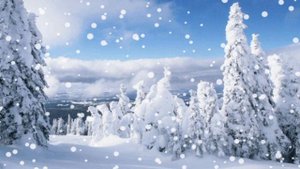 Александр Терещенко - Белый Снег