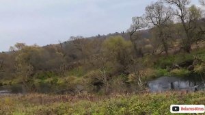 Удачный подход