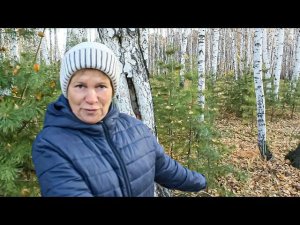 Грибная охота в октябре