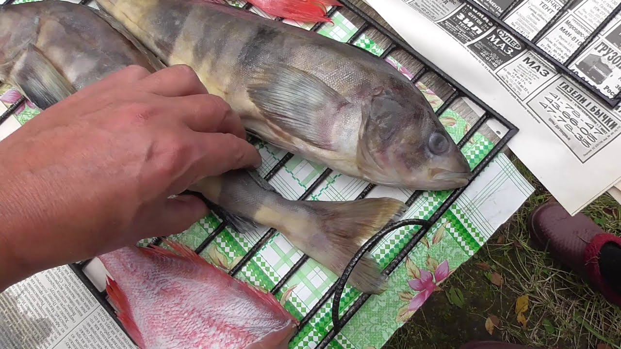 Коптильня от Ивана. Копчение рыбы. смотреть онлайн