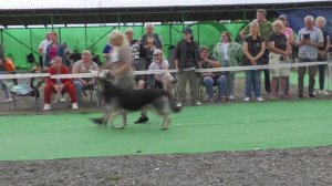 Кобели рабочего класса