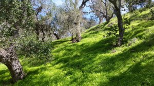 DREAM!!!  МЕЧТАЙ!!!