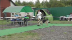 Верный Друг Ядвига