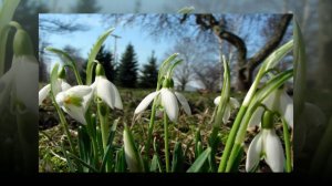 Встречай весну! Красивая песня о весне!