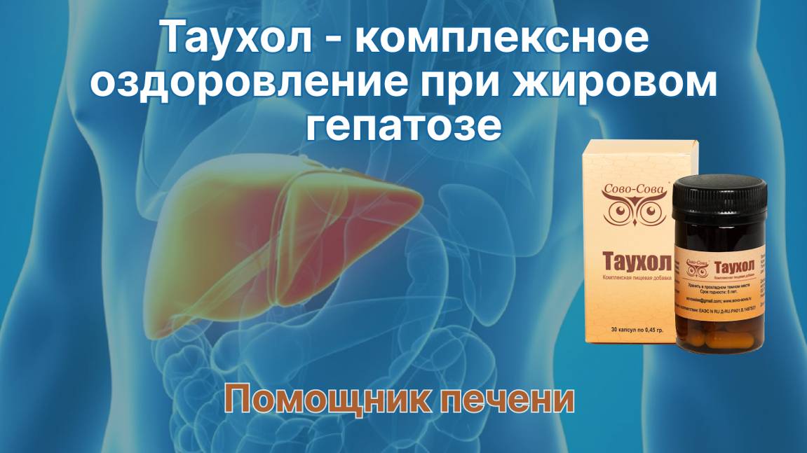 Таухол при жировой болезни печени Сово Сова