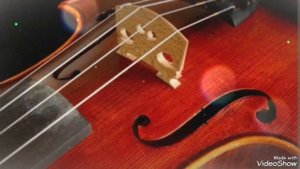 исполн. David Garrett... Vivaldi...