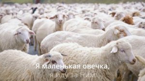 Я маленькая овечка / По горам высоким