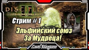 Disciples II: Rise of the Elves/Дисциплис 2 Стрим #1 Кампания Эльфов - за Мудреца, жезлоносца❗️