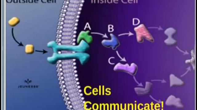 Подробно о продукции Уильям Амзалаг Reserve Резерв Жанес Jeunesse,сыворотка Luminesce Люминесс смотреть онлайн