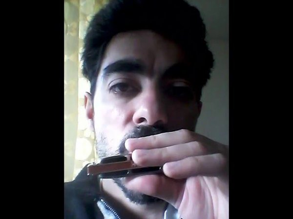 My Favorite Things on harmonica. Richard Rodgers #stratocastro #harmonica #harp #губнаягармошка