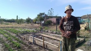 Привезли и установили окно на веранду. Купили кафель.Сделали опалубку.Убрали морковь и многое другое