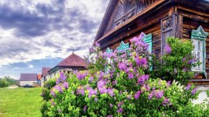 Песня "Ходишь ты вокруг" Музыка, текст, вокал, монтаж: Л. Ломаева. Аранжировка Слава Александров.