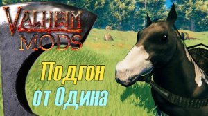 Подгон от Одина. Вальхейм Мод / Valheim Mod