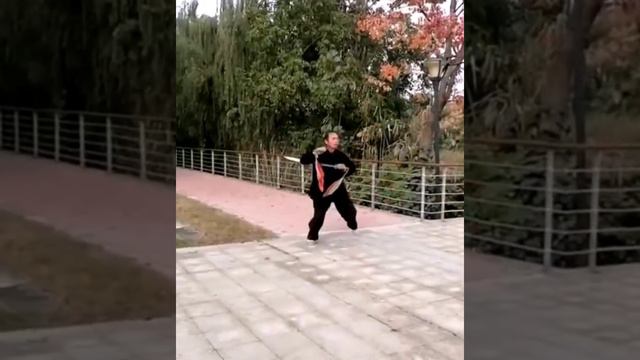 Парные мечи дао.