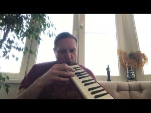 #губная_гармошка #harmonica Ученик изучает мелодику #stratocastro