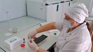 Кольцевая реакция (КР) с молоком для диагностики бруцеллеза