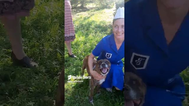 На киносъемках фильма #босерон_питбуль #собаки #киносъемка #МэниГуля