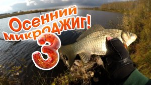 Осенний микроджиг выпуск №3