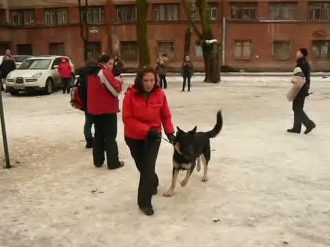 Кашэр Кэйс ЛК