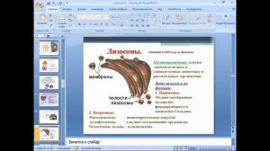 Цитология и жизненный цикл клетки