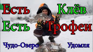 Чудо-Озеро Удомля . Есть Клев Эзотической рыбы Телапия